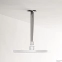 Hotbath Archie Douchearm Plafondaansluiting 20 Cm Rond RVS 316 AR452IX